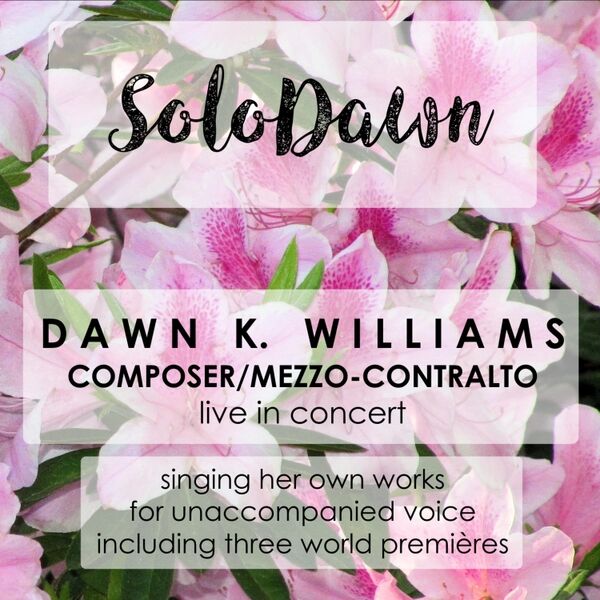 Cover art for Solodawn